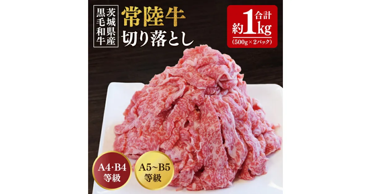 【ふるさと納税】【数量限定】常陸牛切り落とし 約1kg（500g×2p）【水戸市 牛肉 常陸牛 お肉 小分け 自家用におすすめ おいしい ブランド牛 ステーキ 数量 限定 スライス加工】（BG-20）