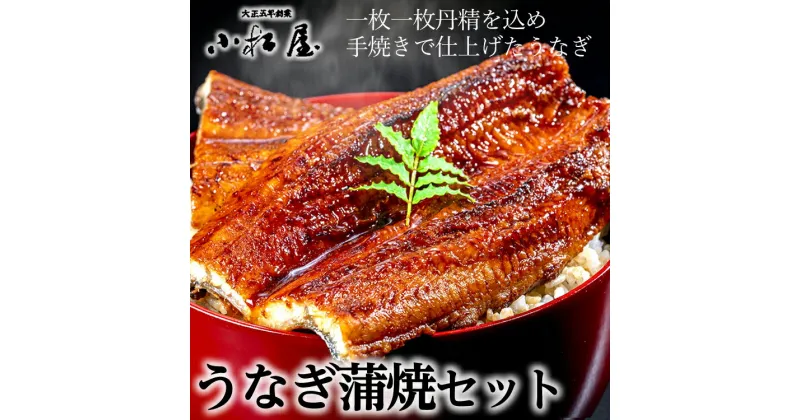 【ふるさと納税】小松屋　うなぎ蒲焼セット | メディアに紹介されたうなぎ屋 国産 冷蔵 うなぎ 鰻 ウナギ 蒲焼き かば焼き 土用丑の日 ※離島への配送不可