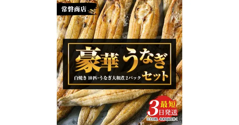 【ふるさと納税】豪華 国産うなぎセット（うなぎの白焼き10匹・うなぎ大和煮2パック）【最短3日発送】国産のブランド鰻を茨城県土浦市の職人が手間を惜しまず一つ一つ丁寧に作り上げた美味しい鰻の白焼きをぜひご賞味ください！土用丑の日に！※離島への配送不可