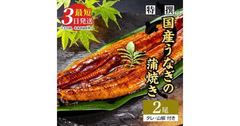 【ふるさと納税】特撰 国産うなぎの蒲焼き2尾【最短3日発送】国産のブランド鰻を茨城県土浦市の職人が手間を惜しまず一つ一つ丁寧に作り上げた美味しい蒲焼きをぜひご賞味ください！土用の丑の日に！※離島への配送不可