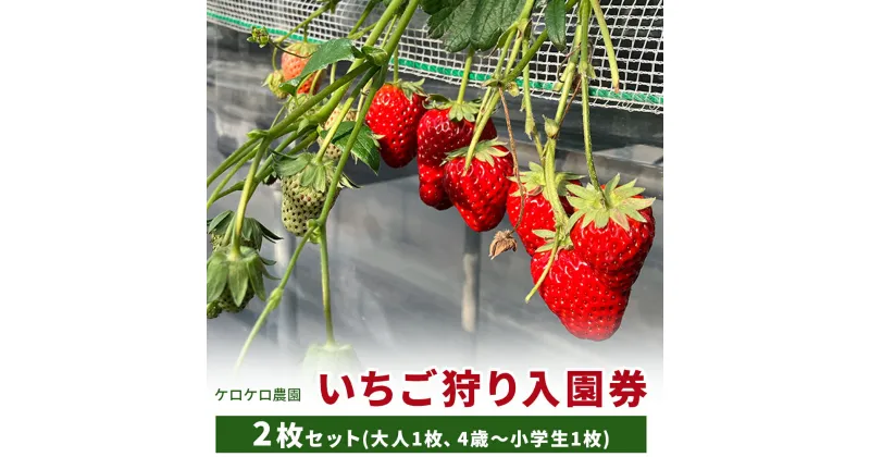 【ふるさと納税】いちご狩り入園券2枚セット(大人1枚、4歳〜小学生1枚)◇※離島への配送不可