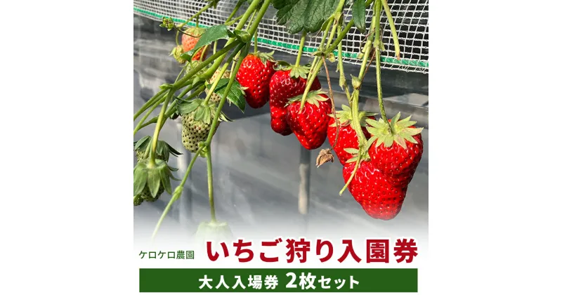 【ふるさと納税】いちご狩り大人入園券2枚セット◇※離島への配送不可