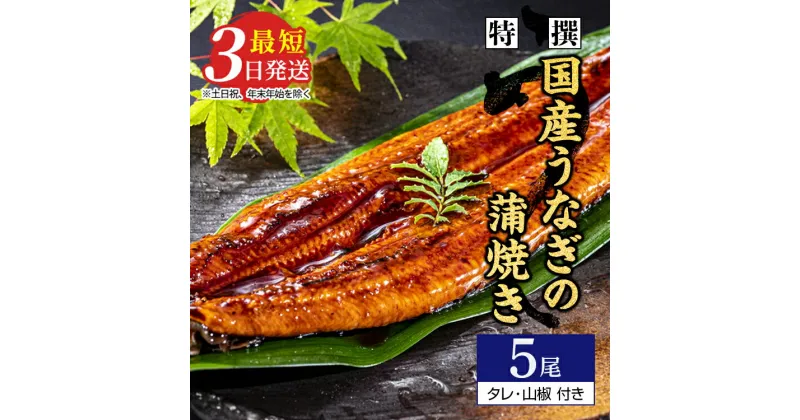 【ふるさと納税】 国産のうなぎ蒲焼き5尾【最短3日発送】国産のブランド鰻を茨城県土浦市の職人が手間を惜しまず一つ一つ丁寧に作り上げた美味しい蒲焼きをぜひご賞味ください！土用の丑の日に！※離島への配送不可