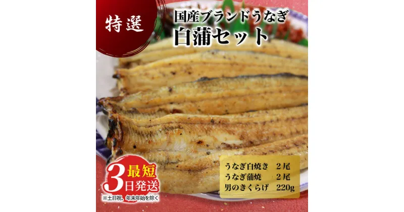 【ふるさと納税】国産うなぎ白蒲セット4本【最短3日発送】うなぎの白焼き（120g～130g×2尾）、うなぎの蒲焼き（120g～130g×2尾）、男のきくらげのセット｜国産のブランド鰻を職人が丁寧に焼き上げた蒲焼きと白焼き。土用の丑の日に！※離島への配送不可