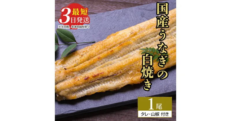 【ふるさと納税】うなぎ白焼き　1尾（120g以上×1尾） | メディアに紹介されたうなぎ屋 国産 冷蔵 うなぎ 鰻 ウナギ タレ・山椒つき しら焼き 土用丑の日※着日指定不可※離島への配送不可