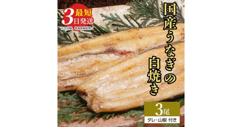 【ふるさと納税】うなぎ白焼き　3尾（120g以上×3尾） | メディアに紹介されたうなぎ屋 国産 冷蔵 うなぎ 鰻 ウナギ タレ・山椒つき しら焼き 土用丑の日※着日指定不可※離島への配送不可