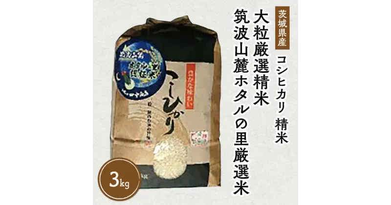 【ふるさと納税】令和6年産 筑波山麓ホタルの里 厳選米 コシヒカリ3kg　透き通った大粒米 | 多数入荷する当地産米の中から、厳選した生産者のお米をお届けいたします ※離島への配送不可　※2024年9月下旬～2025年8月上旬頃より順次発送予定