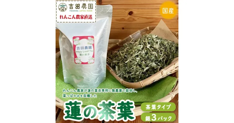 【ふるさと納税】国産　蓮の葉茶　3パックセット（銀 3パック）※離島への配送不可※着日指定不可