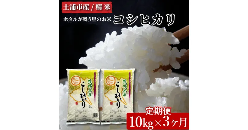 【ふるさと納税】【定期便 3ヶ月】令和6年産　土浦市産コシヒカリ　精米10kg　ホタルが舞う里のお米 ※離島への配送不可　※2024年9月上旬～2025年8月上旬頃より順次発送予定