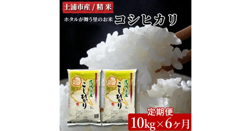 【ふるさと納税】【定期便 6ヶ月】令和6年産　土浦市産コシヒカリ　精米10kg　ホタルが舞う里のお米 ※離島への配送不可　※2024年9月上旬～2025年8月上旬頃より順次発送予定