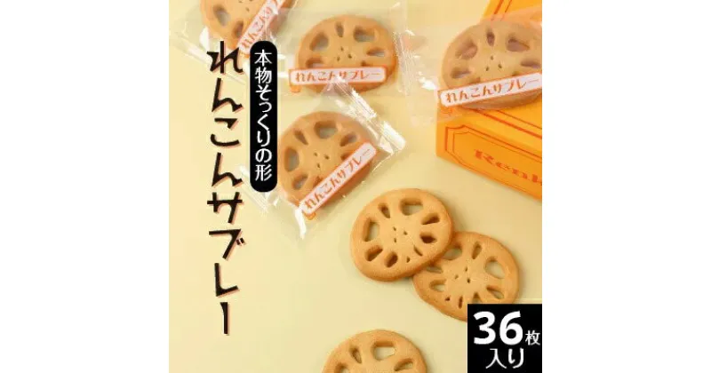 【ふるさと納税】れんこんサブレー(36枚入り)｜茨城県土浦市の特産品であるレンコンを乾燥させて加工した、レンコンパウダーを使用。本物そっくりの形をしたレンコンサブレー※離島への配送不可