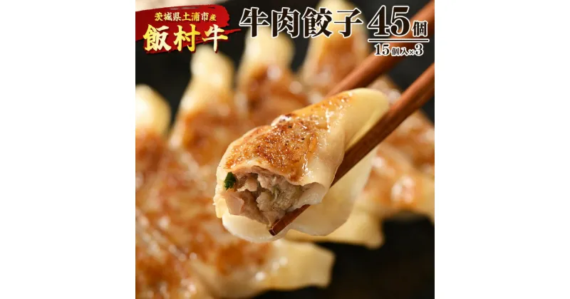 【ふるさと納税】牛肉餃子　45個（15個入り×3） ｜ 餃子 ギョウザ ぎょうざ 冷凍 冷凍食品 蒸し焼き 簡単調理 お弁当 おかず おつまみ 惣菜 肉 牛肉 和牛 ビーフ※着日指定不可※離島への配送不可