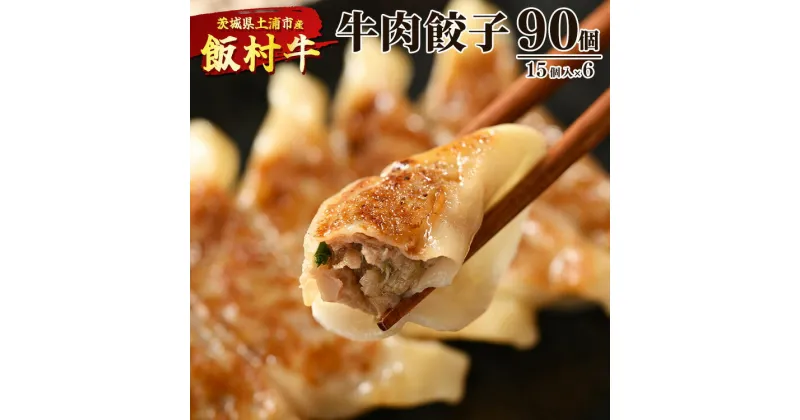 【ふるさと納税】牛肉餃子　90個（15個入り×6） ｜ 餃子 ギョウザ ぎょうざ 冷凍 冷凍食品 蒸し焼き 簡単調理 お弁当 おかず おつまみ 惣菜 肉 牛肉 和牛 ビーフ※着日指定不可※離島への配送不可