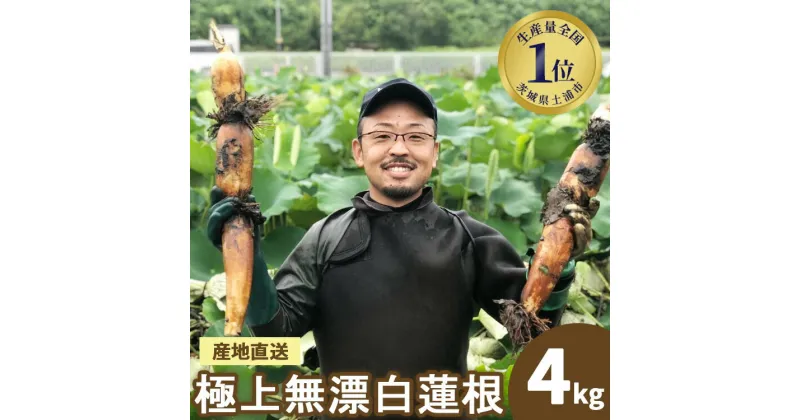 【ふるさと納税】【先行受付】野口れんこん 茨城県産 極上無漂白蓮根4kg | 茨城県 蓮根 れんこん レンコン ハス 根菜 シャキシャキ 甘い 産地直送 産直　※離島への配送不可　※2024年7月中旬頃より順次発送予定