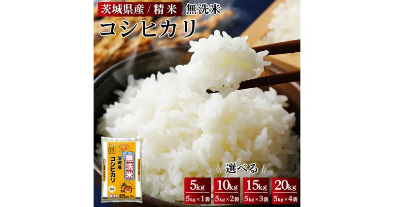 【ふるさと納税】令和6年産 茨城県産 無洗米コシヒカリ 精米 ※離島への配送不可 ※2024年9月中旬頃より順次発送予定