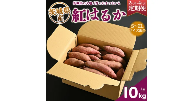 【ふるさと納税】【定期便】生芋　10kg　S～2Lサイズ混合　1箱 いも長 | さつまいも いも 生いも 紅はるか 国産※着日指定不可※離島への配送不可