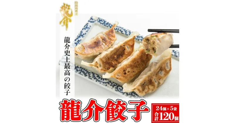 【ふるさと納税】龍介餃子【24個入り×5袋セット】※着日指定不可※離島への配送不可