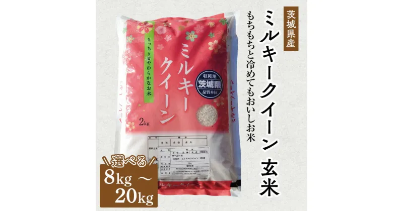 【ふるさと納税】【選べる内容量】令和6年産 茨城県産 ミルキークイーン 玄米｜このお米は石抜き機、色彩選別機の処理済みです※離島への配送不可　※2024年9月下旬～2025年8月上旬頃より順次発送予定