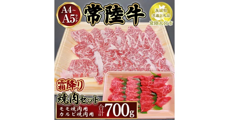 【ふるさと納税】瑞穂農場で育てた常陸牛焼肉セット700g【茨城県共通返礼品　常陸大宮市】　※離島への配送不可