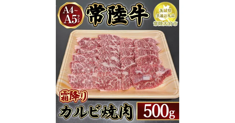 【ふるさと納税】瑞穂農場で育てた常陸牛カルビ焼肉500g【茨城県共通返礼品　常陸大宮市】　※離島への配送不可