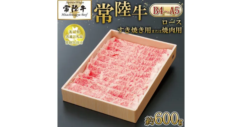 【ふるさと納税】【茨城県共通返礼品 常陸大宮市産】【常陸牛】ロース すき焼き用または焼肉用（600g）　※離島への配送不可