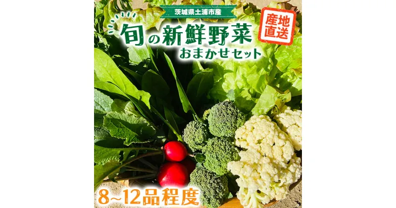 【ふるさと納税】旬の新鮮野菜おまかせセット（8～12品程度）