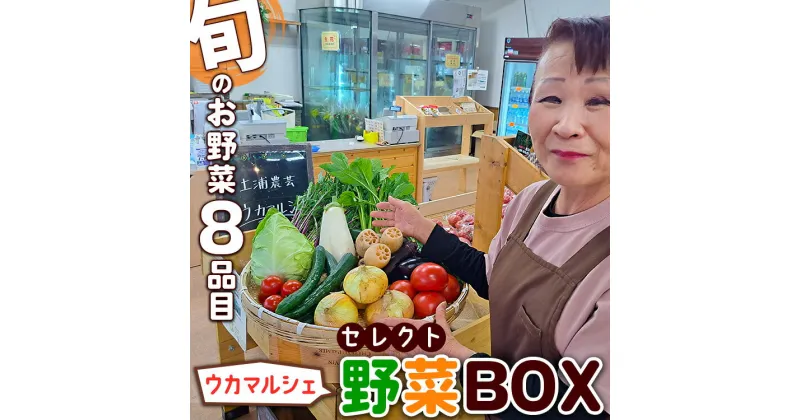 【ふるさと納税】【旬のお野菜8品目】ウカマルシェ　セレクト野菜BOX　※離島への配送不可