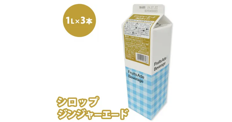 【ふるさと納税】シロップ ジンジャーエード（辛口タイプ） スミダ飲料 1000ml （1L） ×3本　※離島への配送不可