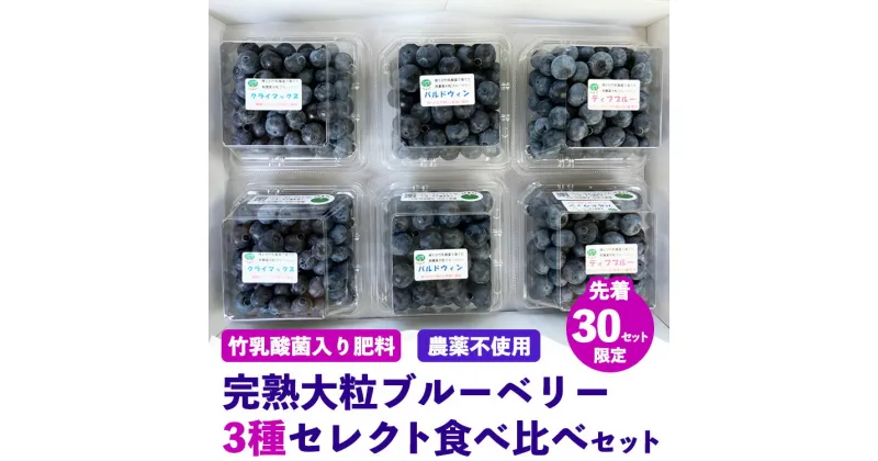 【ふるさと納税】【先行予約30セット限定】大粒完熟ブルーベリー3種セレクト食べ比べセット｜お楽しみ 大粒完熟 農薬不使用 竹乳酸菌入り肥料 ※離島への配送不可 ※2025年7月中旬～8月中旬頃に順次発送予定