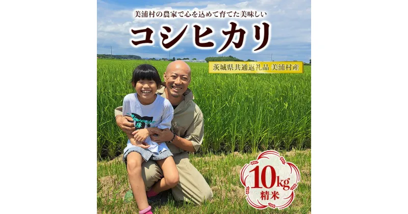 【ふるさと納税】【令和6年産】コシヒカリ 精米 10kg【茨城県共通返礼品　美浦村産】　※2024年9月中旬頃より順次発送予定