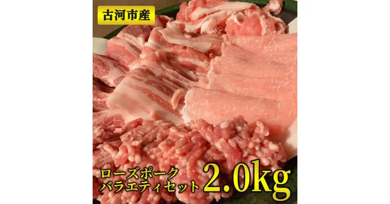 【ふるさと納税】 ふるさと納税 焼肉 古河市産ローズポークバラエティセット2.0kg【全国銘柄食肉コンテストで最優秀賞を受賞】肉 豚肉 BBQ 詰め合わせ ギフト ブランド 冷凍 BBQ 小分け 食べ比べ ロース ひき肉 切り落とし 贈答 贈り物 お中元 お歳暮 プレゼント _AD01