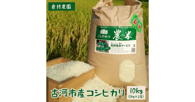 【ふるさと納税】【新米】【令和6年産】古河市産 コシヒカリ10kg【倉持農園】ふるさと納税 米 茨城県_AN01