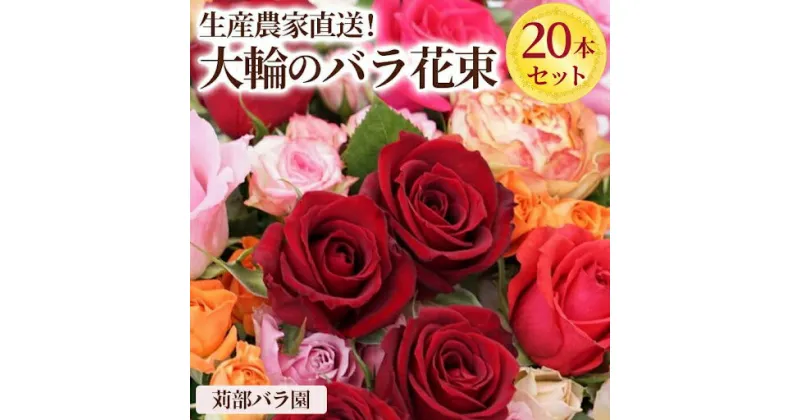 【ふるさと納税】生産農家直送！大輪のバラ花束　20本セット ※沖縄・離島への配送不可 | 薔薇 ばら バラ 花束 綺麗 おしゃれ 記念日 ギフト 贈答 贈り物 プレゼント ご褒美 記念品 お祝 茨城県 古河市 直送 農家直送 新鮮 摘みたて 採れたて 送料無料 苅部バラ園 _AL01