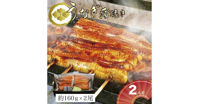 【ふるさと納税】＼レビューキャンペーン／うなぎ蒲焼2人前（1人前約160g×2）贈答用パッケージ｜うなぎ 鰻 ウナギ 320グラム 国産 かば焼き 蒲焼き 蒲焼 うな重 ひつまぶし たれ 山椒 人気 おすすめ 取り寄せ お取り寄せ グルメ 惣菜 ギフト 贈答 お歳暮 古河市 _AT02