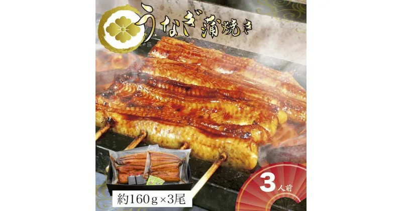 【ふるさと納税】＼レビューキャンペーン／うなぎ蒲焼3人前（1人前約160g×3）贈答用パッケージ｜うなぎ 鰻 ウナギ 480グラム 国産 かば焼き 蒲焼き 蒲焼 うな重 ひつまぶし たれ 山椒 人気 おすすめ 取り寄せ お取り寄せ グルメ 惣菜 贈答 贈り物 プレゼント _AT03