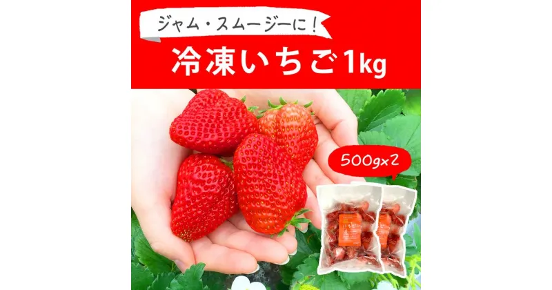 【ふるさと納税】摘みたて！便利な小分け！冷凍いちご1kg(500g×2)｜いちご 苺 イチゴ 1キロ 冷凍 フルーツ 小分け おいしい ジャム スムージー かき氷 いばらキッス 紅ほっぺ よつぼし 恋みのり 贈答 贈り物 プレゼント 茨城県 古河市 直送 農家直送 産地直送 送料無料_BI08