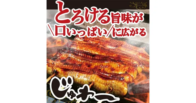 【ふるさと納税】＼レビューキャンペーン／うなぎ蒲焼き&白焼きセット（蒲焼き：160g×2・白焼き：160g×2） | うなぎ 鰻 ウナギ 640グラム 国産 かば焼き 蒲焼き 蒲焼 白焼き うな重 ひつまぶし 人気 詰め合わせ お取り寄せ グルメ 惣菜 ギフト 贈答 贈り物 _AT06