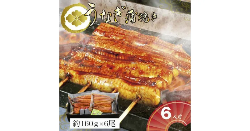 【ふるさと納税】＼レビューキャンペーン／うなぎ蒲焼6人前（1人前約160g×6）贈答用パッケージ｜うなぎ 鰻 ウナギ 960グラム 国産 かば焼き 蒲焼き 蒲焼 うな重 ひつまぶし たれ 山椒 人気 おすすめ 取り寄せ お取り寄せ グルメ 惣菜 ギフト 贈答 贈り物 プレゼント_AT12