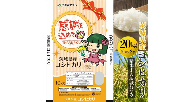 【ふるさと納税】【新米】【令和6年産】茨城県産コシヒカリ20kg（10kg×2袋）精米JA茨城むつみ_CL06