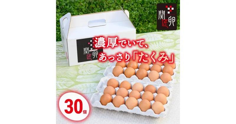 【ふるさと納税】関匠卵 たくみ30個 ※北海道・沖縄・離島への配送不可 | 卵 30個 赤玉 玉子 たまご タマゴ 生卵 鶏卵 生みたて 産みたて 新鮮 濃厚 健康 TKG たまごかけごはん ご飯のお供 国産 ギフト 贈答 贈り物 お中元 お歳暮 プレゼント 茨城県 古河市 農家直送 _CP02