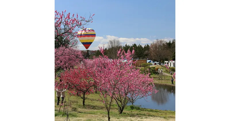 【ふるさと納税】茨城県古河市の対象施設で使える楽天トラベルクーポン 寄付額50,000円 _RA05