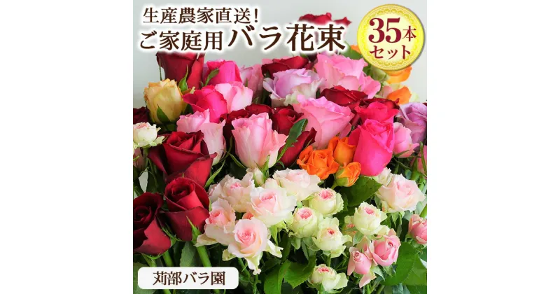 【ふるさと納税】訳あり　生産農家直送！ご家庭用バラ花束35本セット 簡易包装 ※沖縄・離島への配送不可| バラ 薔薇 ばら 花束 自宅用 鑑賞 インテリア 新鮮 摘みたて 採れたて 茨城県 古河市 苅部ばら園 送料無料 おしゃれ 綺麗 きれい 鮮やか _AL02