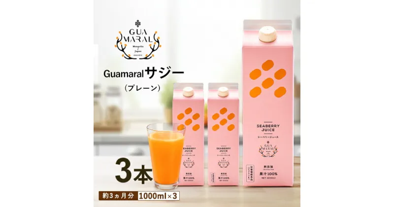 【ふるさと納税】「サジー 100%」ジュース 1,000ml×3本 セット｜サジージュース ジー シーベリー 沙棘 グアマラル 健康ドリンク 健康 美容 栄養 果汁 鉄分補給 栄養補給 健康食品_DX07