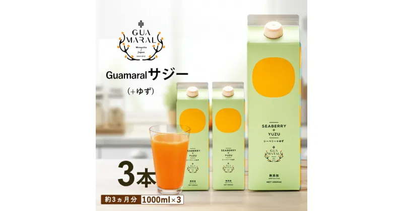 【ふるさと納税】「サジー+ゆず」ジュース 1,000ml×3本 セット｜サジージュース サジー シーベリー 沙棘 グアマラル 健康ドリンク 健康 美容 栄養 果汁 鉄分補給 栄養補給 健康食品_DX08