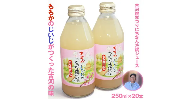 【ふるさと納税】ももかのじいじがつくった古河の味　250ml×20本入 ※着日指定不可 | ドリンク 桃 もも モモ ジュース びん ビン 飲料 ご当地ドリンク 取り寄せ お取り寄せ ご家庭用 手土産 美味しい すっきり ギフト 厳選 贈答 贈り物 お中元 夏ギフト プレゼント _EG01