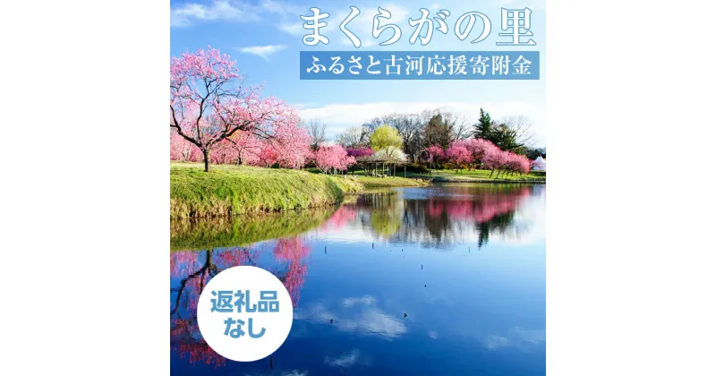 【ふるさと納税】CV02_まくらがの里　ふるさと古河応援寄附金2,000円【返礼品なし】