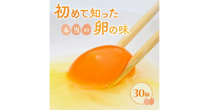 【ふるさと納税】小久保ファーム 濃厚卵黄 産みたてたまご 赤玉30個入り（M玉）｜卵 玉子 たまご タマゴ 30個 赤玉 生卵 鶏卵 生みたて 産みたて 新鮮 濃厚 健康 TKG たまごかけごはん ご飯のお供 国産 ギフト 贈答 贈り物 お中元 お歳暮 プレゼント 古河市 農家直送 _EI01