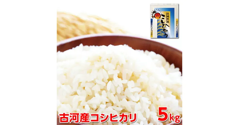 【ふるさと納税】【新米】令和6年産 古河産コシヒカリ（5kg）｜米 コメ こめ ごはん ご飯 ゴハン 白飯 単一米 国産 コシヒカリ こしひかり 5kg 茨城県 古河市 着日指定可 _DP07