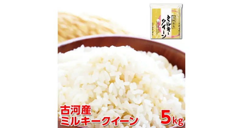 【ふるさと納税】【新米】令和6年産 古河産ミルキークイーン（5kg）｜米 コメ こめ ごはん ご飯 ゴハン 白飯 単一米 国産 ミルキークイーン 5kg 茨城県 古河市 着日指定可 _DP08 ◇