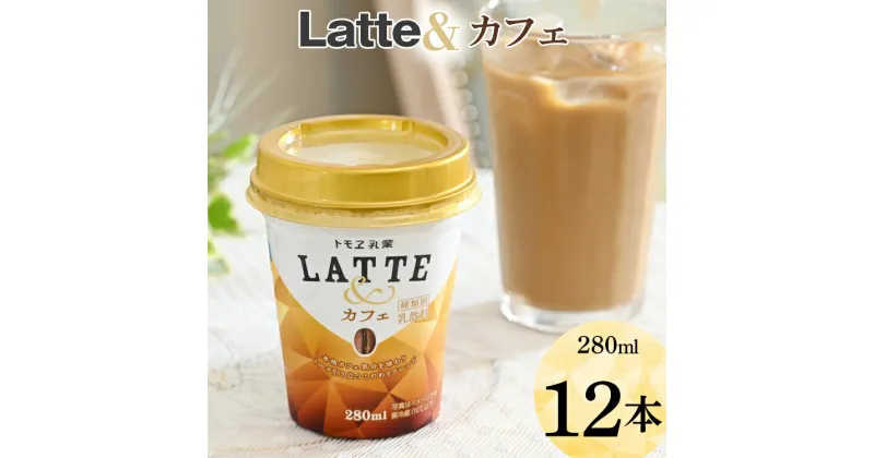 【ふるさと納税】latte&　カフェ　12本 ※着日指定不可| ラテ カフェラテ ラテアンド ともえ トモエ トモヱ乳業 トモエ乳業 ギフト 贈答 贈り物 プレゼント ご褒美 記念品 おいしい 牛乳 カフェラテ 便利 携帯 簡単 カップドリンク ドリンク 工場直送 家庭用 _DT03